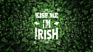 Green wall kiss me im - typographic free wallpaper