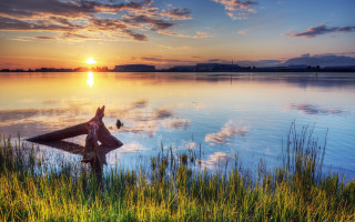 Sunset lake bird branch landscape - a sunset in the background and a bird free wallpaper