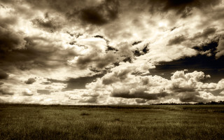 Cloudy sky horse field ocean - cloud and grass free wallpaper