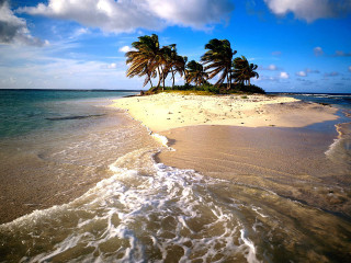 Sandy beach island palm trees - a sandy beach free wallpaper