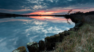 Lake fence clouds trees dusk - a few tree free wallpaper for desktop