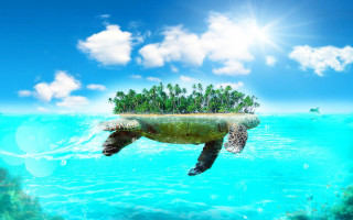 Turtle swimming ocean island back - its back in free wallpaper for desktop