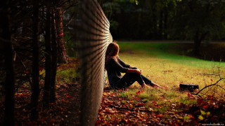 Woman leaves grass tree light - a tree in the background free wallpaper for desktop