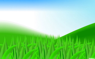 Green field bamboo sky cloud - a white cloud free wallpaper