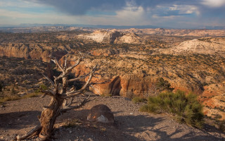 Desert tree mountains cloudy sky - kodachrome free wallpaper for desktop