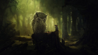 Owl stump forest mouse magic - a mouse free wallpaper