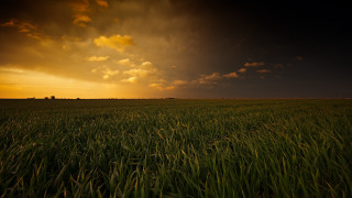 Stormy sunset field horizon mountain - a sky in the background free wallpaper