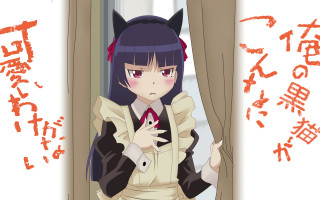 Woman cat suit cat windows - a window free wallpaper for desktop