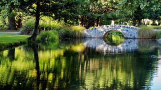 Bridge pond stone trees park - a park setting free wallpaper