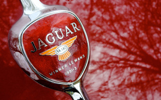 Red spoon trees red moon - spoon free wallpaper