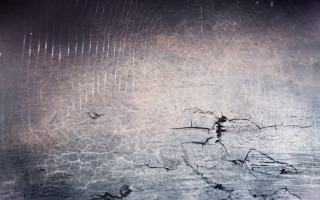 Black white cracked wall person - concrete art free wallpaper