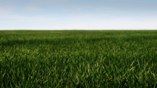 Field grass blue sky white - postminimalism free wallpaper