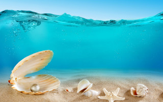 Seashells underwater beach wave sky - sandy free wallpaper for desktop