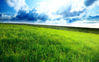 Grassy field blue sky clouds 7 - a grassy hill free wallpaper