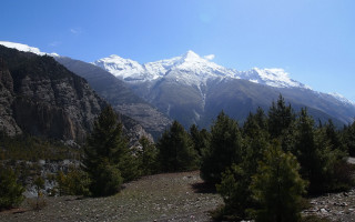 Mountain range snowy background forest - derek chittock free wallpaper