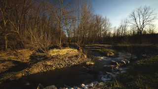 Forest stream autumn fireworks sunset - a stream free wallpaper