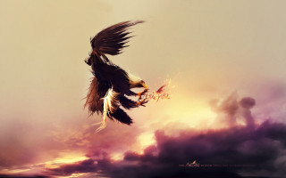 Bird flying sky clouds mountain - a sky background behind free wallpaper