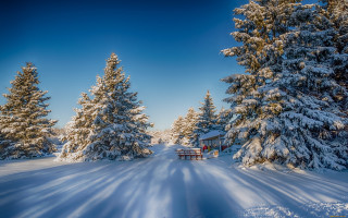 Snowy road bench trees blue - a blue sky above free wallpaper