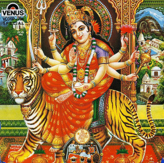 Woman tiger sword painting foreground - free anime wallpaper for tablet