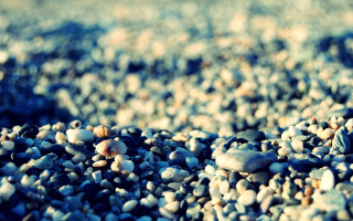 Rocks gravel blue flower bokeh - free textures wallpaper
