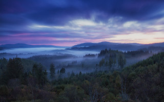 Forest mountains sunset fog nature - rich moody colours free wallpaper