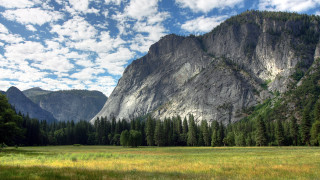 Mountain meadow trees clouds blue - ansel adams free wallpaper
