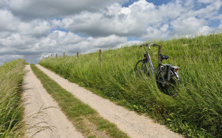 Bike fence grass dirt road - a bike free wallpaper