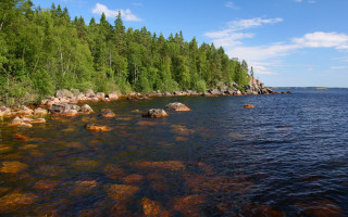 Lake shore forest clouds blue - rock and trees free wallpaper