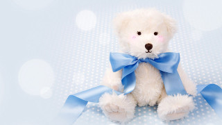 White teddy bear blue bow - a white teddy bear free wallpaper