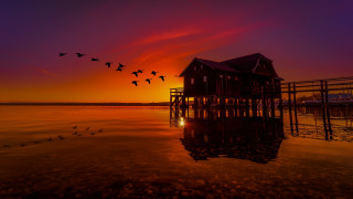Birds flying sunset house stilts - a house free wallpaper