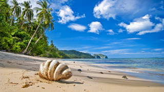 Large clam tropical beach sky - a tropical island free wallpaper