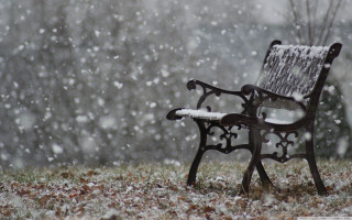 Snowy bench in field with - the middle of a field free wallpaper