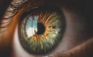 Eye green brown white black - a close up of a persons eye free wallpaper
