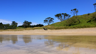 Bush hill lake beach sky - a sandy beach free wallpaper