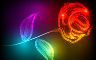 Colorful flower abstract fire energy - a colorful flower free wallpaper