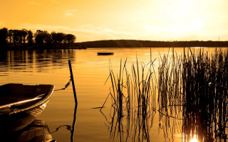 Boat water sunset reeds cityscape - a boat free wallpaper