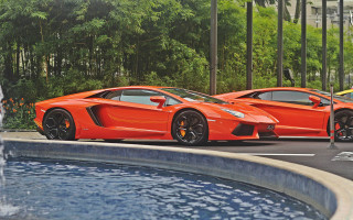 Orange sports cars fountain trees - the background and a man free wallpaper