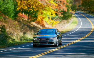Autumn car road trees leaves - the road free wallpaper
