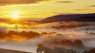 Sunset valley trees fog hills - free landscape wallpaper
