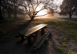 Wooden bench park sunset trees - free valentines wallpaper