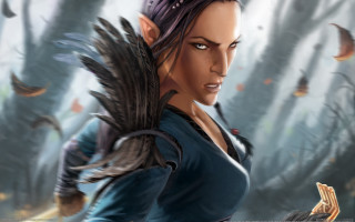 Woman bird forest elf feathers - art of brom free wallpaper