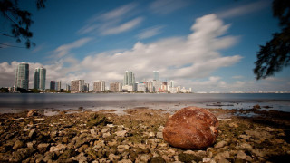 Rock beach city skyline cloudy - a rocky beach next free wallpaper