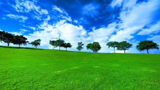 Grassy hill trees blue sky - a grassy field free wallpaper for desktop