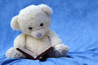 White teddy bear reading book - a book free wallpaper