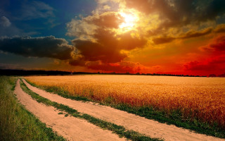 Dirt road sunset clouds landscape - a dirt road in a field free wallpaper