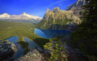 Mountain lake forest sky bridge 6 - tree and mountains free wallpaper for desktop