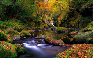 Autumn forest stream waterfall nature - autumn time free wallpaper