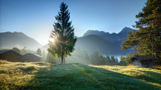 Grassy field tree mountains sunhouse - a tree and mountains free wallpaper
