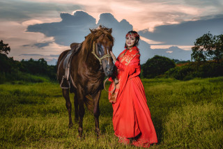 Woman red dress horse field - ding guanpeng free wallpaper