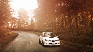 White car autumn forest city - both side of the road free wallpaper